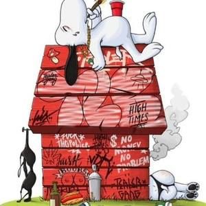 Meet your Posher, Kendell